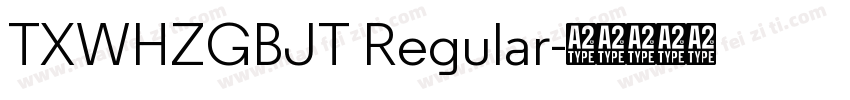 TXWHZGBJT Regular字体转换